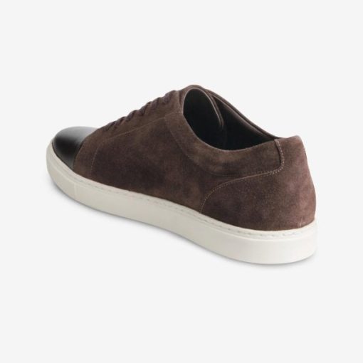 Theboardroomedit.shopccd1455fc9 2
